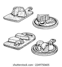 Traditional Italian cheese set. Ricotta, Burratta, Gorgonzola and Parmesan with basil leaves and tomatoes on the cutting wooden board. Hand drawn sketch style. Vector illustration isolated on white.
