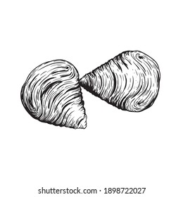 Traditional Italian dessert Sfogliatelle (Sfogliatella). Top view. Hand drawn sketch style Italian sweets illustration. Puff pastry and custard. Best for packaging and menu designs. 