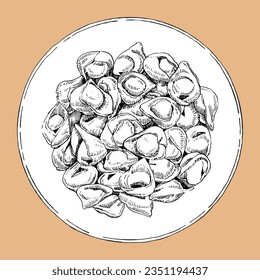 Traditional italian dishes. Hand-drawn illustration of Tortellini. Vector. Ink drawing. 