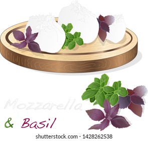 Traditional Italian Mozzarella cheese and basil on plate. White background. Vector illustration.