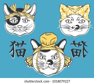 Traditional Japanese cats in national head-dress. Isolated vector
illustration