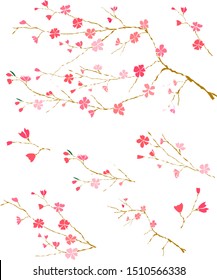 Traditional Japanese flower pattern on isolated white background.Branch of sakura vector for printing on wallpaper.Free hand peach blossom set.Beautiful line art cherry blossom on backdrops.
