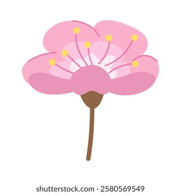 Traditional Japanese sakura flower with delicate pink color and fresh green leaf. Symbol of spring and beauty. Perfect for creating Japanese style designs, wedding invitations