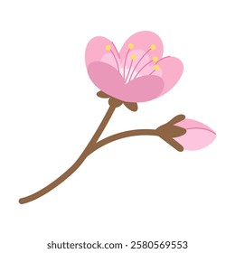 Traditional Japanese sakura flower with delicate pink color and fresh green leaf. Symbol of spring and beauty. Perfect for creating Japanese style designs, wedding invitations