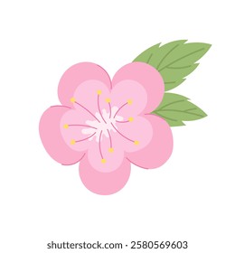 Traditional Japanese sakura flower with delicate pink color and fresh green leaf. Symbol of spring and beauty. Perfect for creating Japanese style designs, wedding invitations