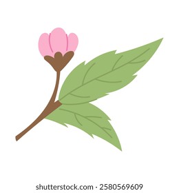 Traditional Japanese sakura flower with delicate pink color and fresh green leaf. Symbol of spring and beauty. Perfect for creating Japanese style designs, wedding invitations