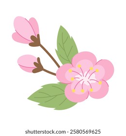 Traditional Japanese sakura flower with delicate pink color and fresh green leaf. Symbol of spring and beauty. Perfect for creating Japanese style designs, wedding invitations