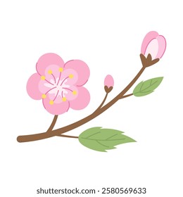 Traditional Japanese sakura flower with delicate pink color and fresh green leaf. Symbol of spring and beauty. Perfect for creating Japanese style designs, wedding invitations