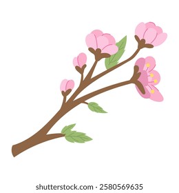 Traditional Japanese sakura flower with delicate pink color and fresh green leaf. Symbol of spring and beauty. Perfect for creating Japanese style designs, wedding invitations