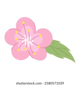 Traditional Japanese sakura flower with delicate pink color and fresh green leaf. Symbol of spring and beauty. Perfect for creating Japanese style designs, wedding invitations