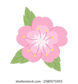 Traditional Japanese sakura flower with delicate pink color and fresh green leaf. Symbol of spring and beauty. Perfect for creating Japanese style designs, wedding invitations