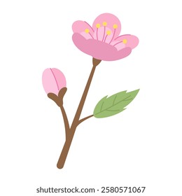 Traditional Japanese sakura flower with delicate pink color and fresh green leaf. Symbol of spring and beauty. Perfect for creating Japanese style designs, wedding invitations