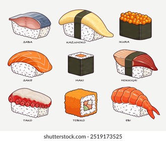 Tradicional conjunto de sushi japonês. Apresentando rolos, saba, kazunoko, ikura, sakê, maki, hokkigai, tako, tobiko e ebi. Ilustração vetorial
