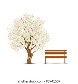 Traditional japanese tree and bench isolated on white, vector illustration, eps10, 3 layers, easy editable