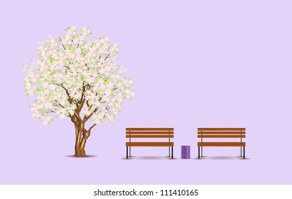 Traditional japanese tree and benches, vector illustration, eps10, 3 layers, easy editable