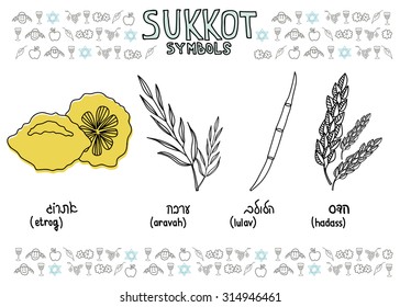 Traditional Jewish Holiday Sukkot. Hand drawn Sukkot symbols. Four species - etrog, willow, palm, myrtle. Vector doodle illustration with Jewish topic pattern and Israel flag. 