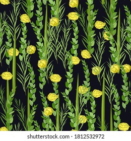 Traditional Jewish Holiday Sukkot seamless pattern. Jewish torah Lulav date palm, Etrog citron, Arava willow and Hadas myrtle isolated on black. Repeating with etrog, lulav, Arava, Hadas. Vector