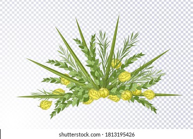 Traditional Jewish Holiday Sukkot. Jewish torah Lulav date palm, Etrog citron, Arava willow and Hadas myrtle isolated on transparent. Modern poster, jewish religious festive postcard. Vector