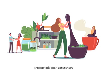 Traditional Medicine Concept. Scientist or Doctors Characters Make Drugs of Medical Herbs and Plants, Preparing Homeopathic Recipes for Personal Use, Ayurvedic Remedy. Cartoon Vector Illustration