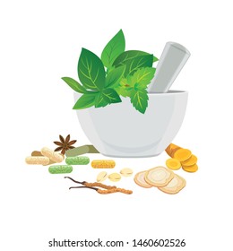 Traditional medicine - Fresh and dried herbs for medicine.