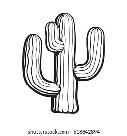 Traditional Mexican tequila cactus, black and white sketch style vector illustration isolated on white background. Hand drawn Mexican cactus, sketch style isolated illustration