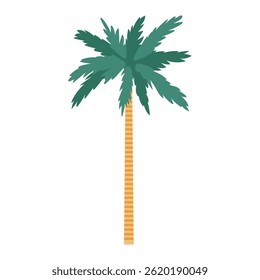 Traditional Morocco palm tree in vase in flat design. Tropical desert plant. Vector illustration isolated.