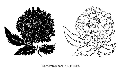 Traditional peony flower vector.