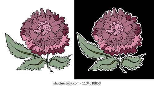 Traditional peony flower vector.