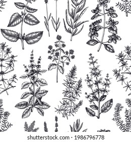 Traditional Provence herbs seamless pattern. Hand-sketched savory, marjoram, rosemary, thyme, oregano, lavender backdrop. For perfumery or cosmetics brands, aromatherapy, fabrics, wrapping paper.