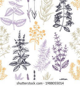 Traditional Provence herbs seamless pattern. Hand-sketched savory, marjoram, rosemary, thyme, oregano, lavender backdrop. For perfumery or cosmetics brands, aromatherapy, fabrics, wrapping paper.