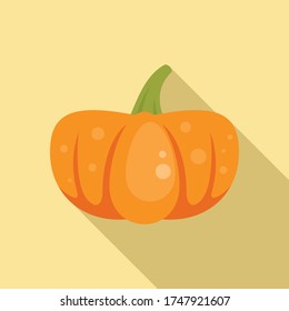 Icono de calabaza tradicional. Ilustración plana del icono vectorial de calabaza tradicional para el diseño web