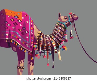 Traditional rajasthani camel colorful vector illustration.