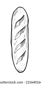 Traditional regular loaf. Traditional banana. White bread. Hand drawing outline. Isolated on white background. Monochrome drawing. Vector.