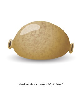 A traditional Scottish haggis isolated on white. EPS10 vector format.