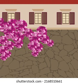 Traditional spanish house with stone wall and blooming bougainvillea. Typical mediterranean house with pink flowers.