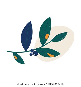 Traditional symbol of autumn green branch with blue forest berries vector illustration