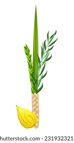 Traditional symbols of Sukkot: Etrog (citron), lulav (palm branch), hadas (myrtle), arava (willow). Festival of Ingathering or Feast of Tabernacles. Great for card, banner, collage, social media