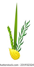 Traditional symbols of Sukkot: Etrog (citron), lulav (palm branch), hadas (myrtle), arava (willow). Festival of Ingathering or Feast of Tabernacles. Great for card, banner, poster, social media