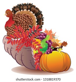 Traditional Thanksgiving horn of plenty, cornucopia and turkey cartoon illustration.