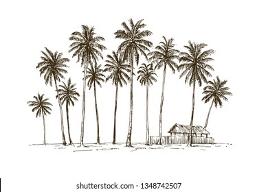 Traditional village hut with coconut trees in Java island, Indonesia