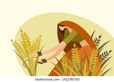 Traditionally dressed Indian woman harvesting wheat using a sickle