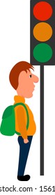 Traffic light, illustration, vector on white background.