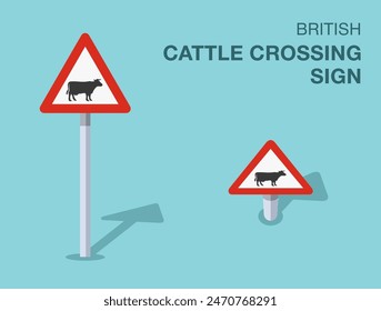 Traffic regulation rules. Isolated British "cattle crossing" road sign. Front and top view. Flat vector illustration template.