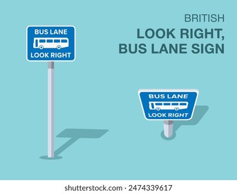Traffic regulation rules. Isolated British "Look right, bus lane" road sign. Front and top view. Flat vector illustration template.