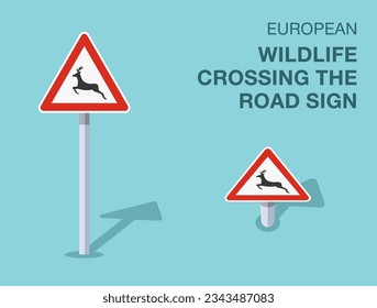 Verkehrsvorschriften. Einzigartige europäische Tierwelt, die das Straßenschild überquert. Front- und Draufsicht. Flache Vektorgrafik-Vorlage.