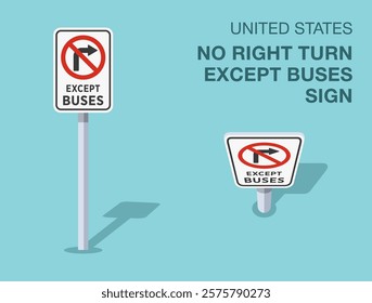 Traffic regulation rules. Isolated United States "no right turn except buses" road sign. Front and top view. Flat vector illustration template.