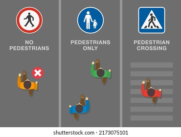 Traffic regulation tips and rules. Signs and road markings meaning. "No pedestrians", "pedestrians only" and "pedestrian crossing" sign. Top view of pedestrians. Flat vector illustration template.