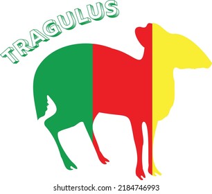 Tragulus Vector Art Design Silhoutte Nature Animal