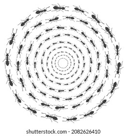 Camino de hormigas. Camino de hormigas. Marco de insecto circular. Vector.