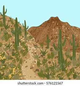 Trail in Arizona. Illustration of desert, cactus and mountains